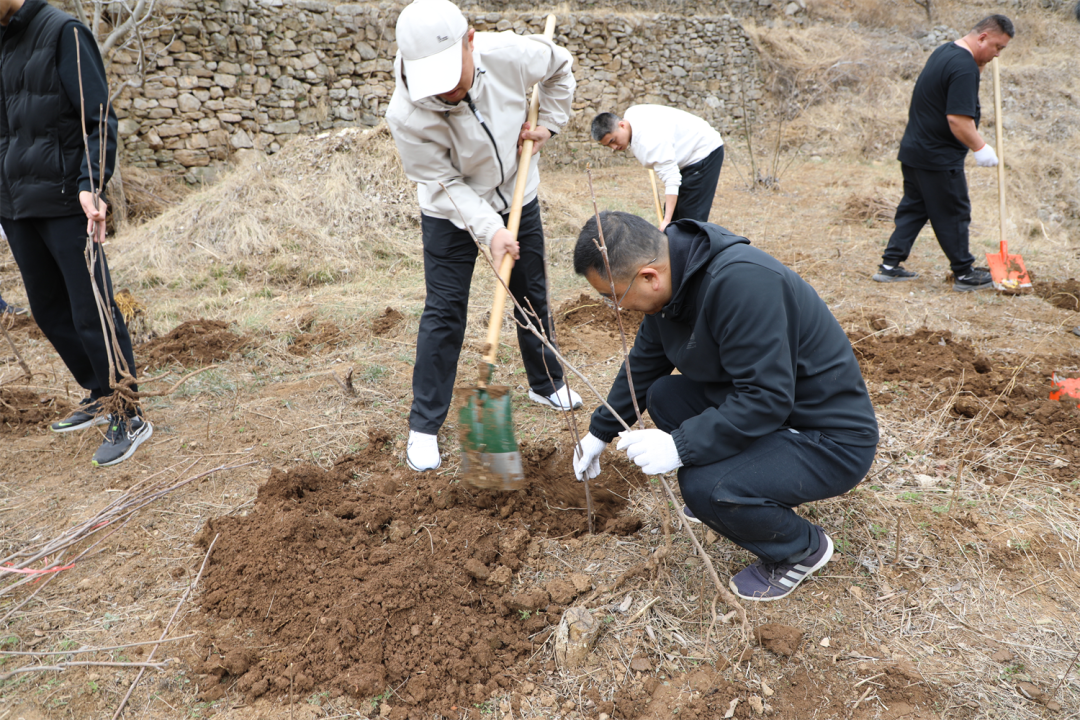 8f85944544987dd437c766f47131de3a_640_wx_fmt=png&from=appmsg&tp=webp&wxfrom=5&wx_lazy=1#imgIndex=16